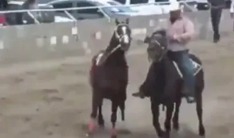 Al menos siete muertos por balacera en carrera de caballos en Parral, Chihuahua