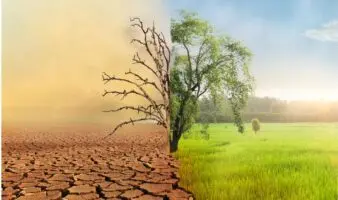 Pérdida de biodiversidad, crisis climática y contaminación, muy interrelacionados entre sí