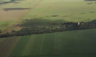 Los compromisos para reducir deforestación al 2030 aún están lejos de cumplirse | INFORME