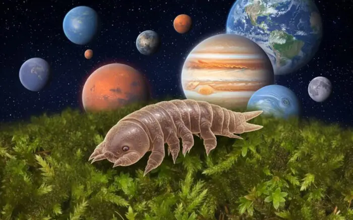 Musgo japonés resiste el vacío espacial y planeta nuevas preguntas sobre la vida