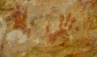 Neandertales practicaron 'canibalismo selectivo' con mujeres y niños en el norte de Europa