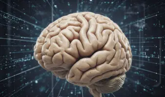 ¿Nacemos preparados para entender el mundo? Un reciente estudio afirma que sí