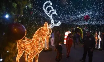 Estados Unidos buscaría detener a migrantes que intenten volver a México a pasar Navidad, según medios