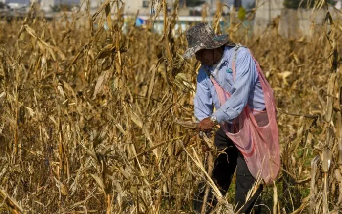 Pagar agua a Estados Unidos causaría 'mucha hambre' a la región fronteriza de México: Agroindustriales