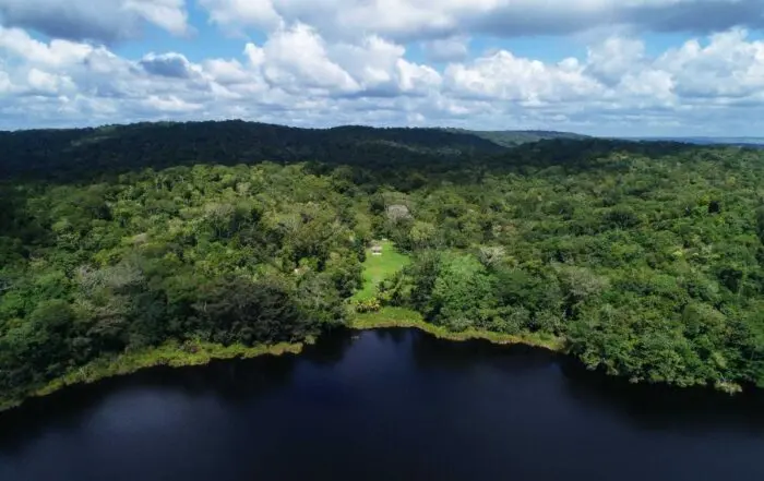 Uso sostenible, clave para conservar la Reserva de la Biosfera Maya
