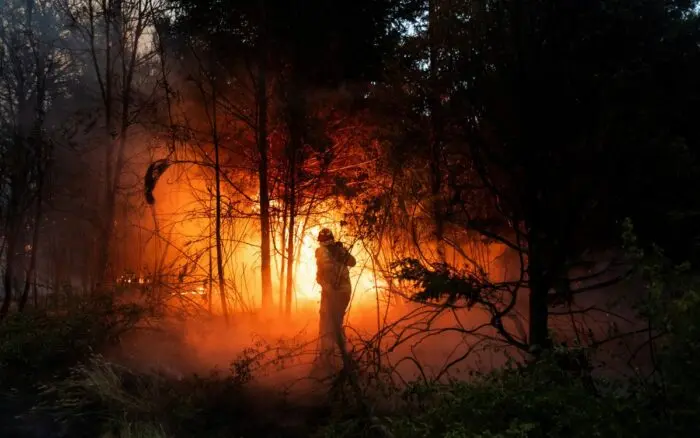 Ecocidio en la Patagonia: incendios devastan bosques ante falta de prevención