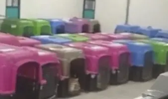 No fue rescate, gobierno CDMX llevó a animales del Refugio Franciscano 'de un infierno a otro': Arturo Islas