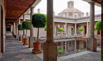 El Colegio Nacional inicia 2026 con actividades virtuales