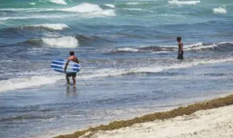 Juez protege manglares de Mahahual: Frena aval a cambios de suelo para desarrollo turístico
