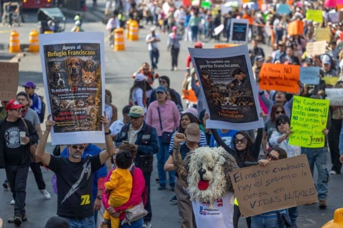 Animalistas marchan en Reforma por desalojo del Refugio Franciscano