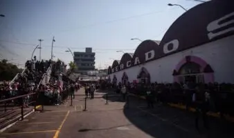 No solo es el Mercado de Sonora, prohibición de vender animales aplica a todo espacio público de la CDMX: Va por sus Derechos