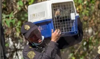 Refugio Franciscano señala al GobCDMX de no respetar fallo judicial a favor del albergue