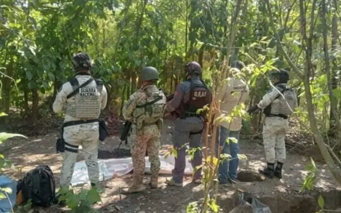 Hallan 6 cuerpos en fosa clandestina localizada en Tabasco