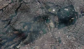 'Naturalista en Chapultepec': descubre su vida silvestre | Por Carlos Galindo Leal