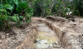 Juzgado concede suspensión definitiva que frena cambios de uso de suelo en 'Perfect Day Mahahual'