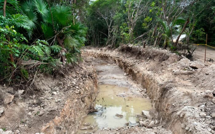 Juzgado concede suspensión definitiva que frena cambios de uso de suelo en 'Perfect Day Mahahual'