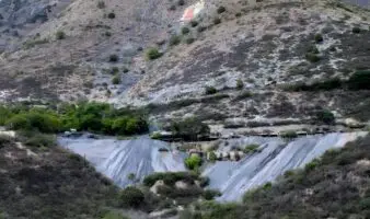 Minería, tala, aguacate y narcolaboratorios: las industrias contaminantes que el Cártel de Jalisco Nueva Generación expandió bajo el mando de «El Mencho»