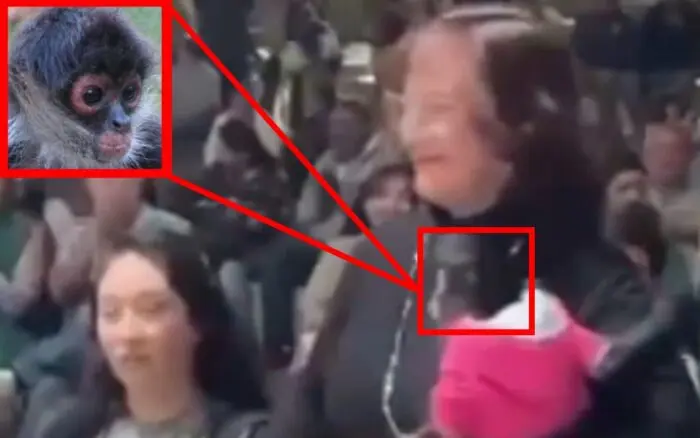 Captan a regidora con mono araña bebé; ya fue denunciada