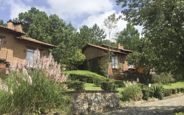 Aristegui en Vivo: El lugar donde cayó 'El Mencho'; el país está en calma: Sheinbaum; cuatro años de la invasión rusa a Ucrania (24/02/2026)