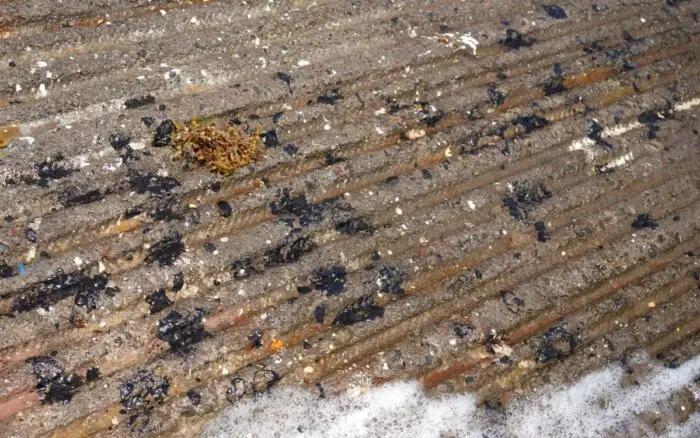 Sigue la llegada de petrolíferos a Veracruz y Tamaulipas; suman 825 toneladas recolectadas