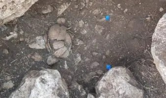 Descubren milenario depósito ritual maya, en Yucatán