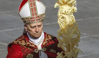 'No se puede utilizar a Dios para justificar la guerra': León XIV en la Misa del Domingo de Ramos