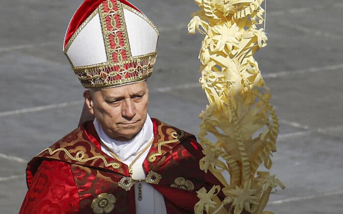 'No se puede utilizar a Dios para justificar la guerra': León XIV en la Misa del Domingo de Ramos