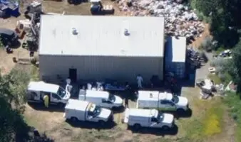 Rescate masivo de 300 perros y gatos hacinados en Los Ángeles; lo que se sabe