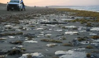 Semarnat atiende derrame de hidrocarburo en Veracruz y Tabasco