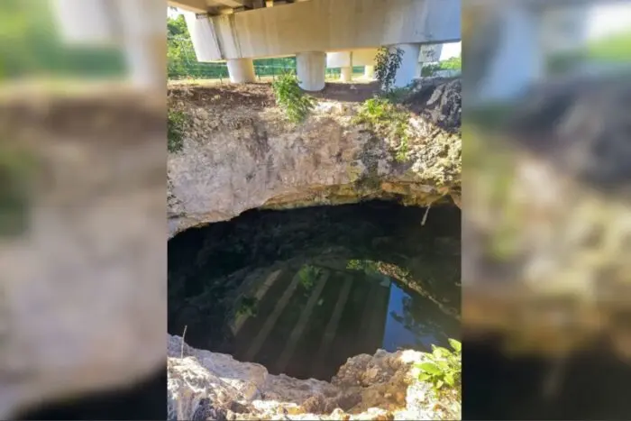 Tren de carga en Tren Maya alarma a ambientalistas