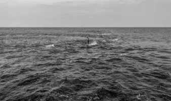 World Press Photo 2026 | Desde Gaza hasta las costas de Tabasco, estas son las fotografías ganadoras