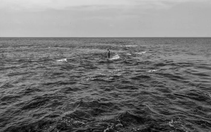 World Press Photo 2026 | Desde Gaza hasta las costas de Tabasco, estas son las fotografías ganadoras