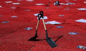 Expresidente del CED advierte que descalificar al Comité debilita a México ante la ONU