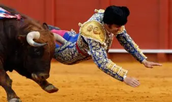 Torero Morante de la Puebla sufre cornada en el recto