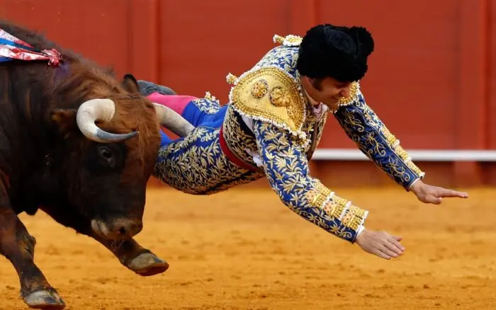 Torero Morante de la Puebla sufre cornada en el recto