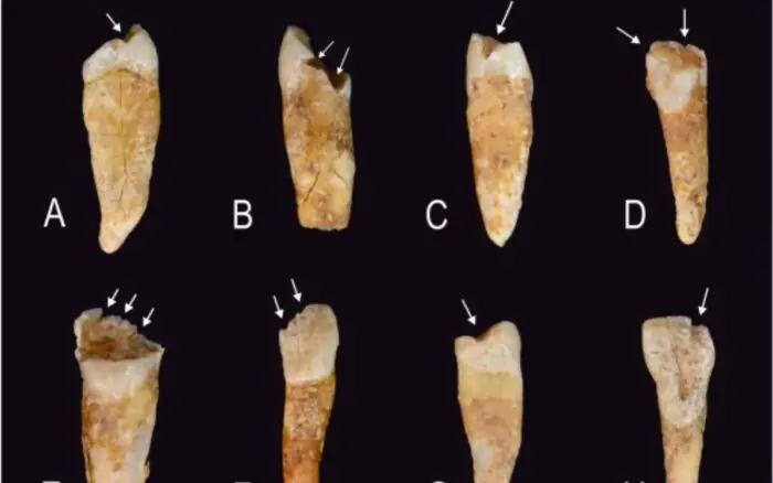 Marcas en los dientes revelan cómo se construían las identidades de género en la Prehistoria, según un estudio