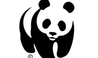 WWF celebra 65 años en la lucha de la conservación ambiental