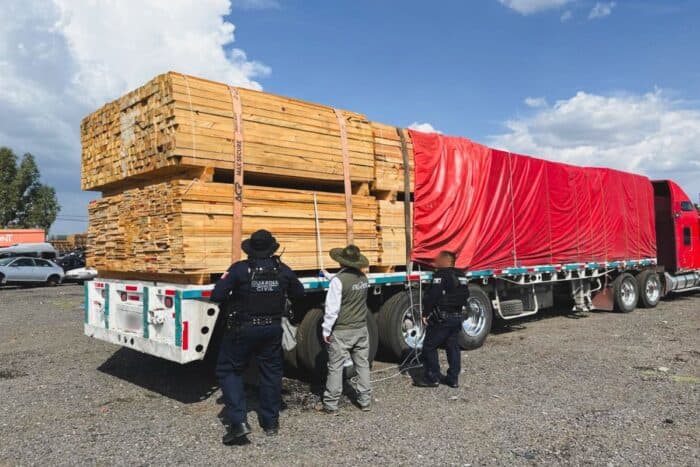 Decomisan madera irregular en reserva Mariposa Monarca