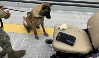 Sujeto oculta casi 9 kilos de cocaína en una silla de ruedas