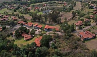 Subastan el terreno donde cayó "El Mencho'