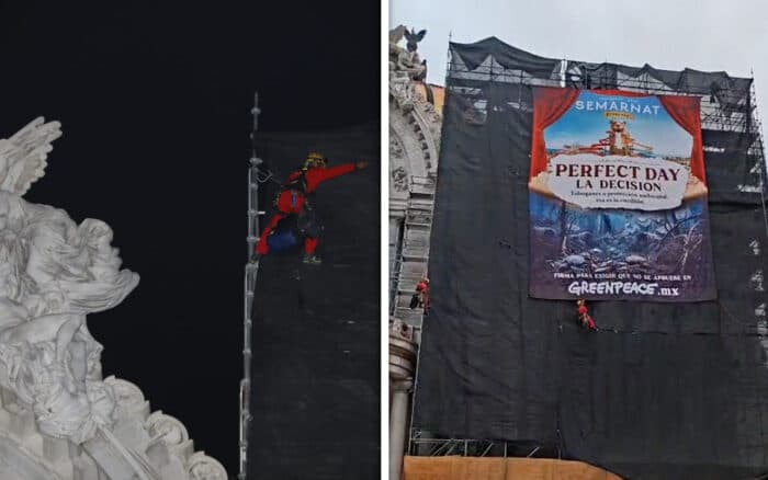 Con manta en Bellas Artes, Greenpeace exige a Semarnat frenar autorización de 'Perfect Day Mahahual'