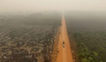 La grave sequía en la Amazonía causó 'impactos desproporcionados', según un estudio