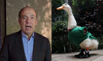 Felipe Calderón pide regalías de FIFA para familia del pato Merlín