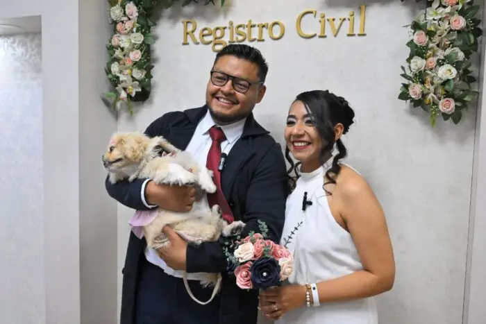 Perros y gatos, testigos simbólicos en bodas ‘pet friendly’ de Ecuador