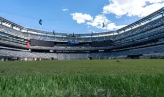 ¿Quieres un recuerdo de la final del Mundial? FIFA pone a la venta el césped