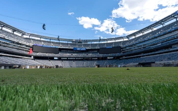 ¿Quieres un recuerdo de la final del Mundial? FIFA pone a la venta el césped