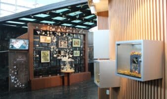 El arte en los museos de historia natural | MHNCA