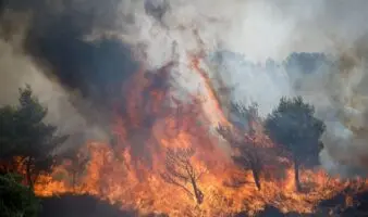 Atenas sigue bajo amenaza por incendios forestales