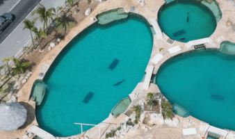 Los delfines en cautiverio: un problema legal en México | Mongabay