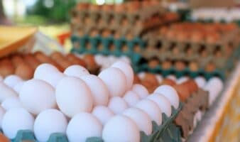 Por salmonela, EE. UU. retira 19 millones de huevos del mercado